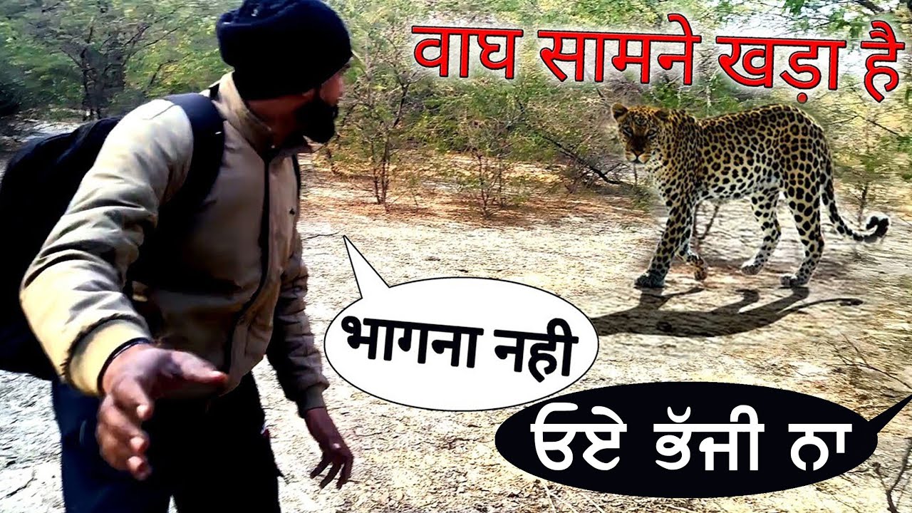 We Survived A Leopard Attack! कैंप छोड़ कर भागना पड़ा / ਭੱਜ ਕੇ ਜਾਨ ਬਚਾਈ, 100 % Real 