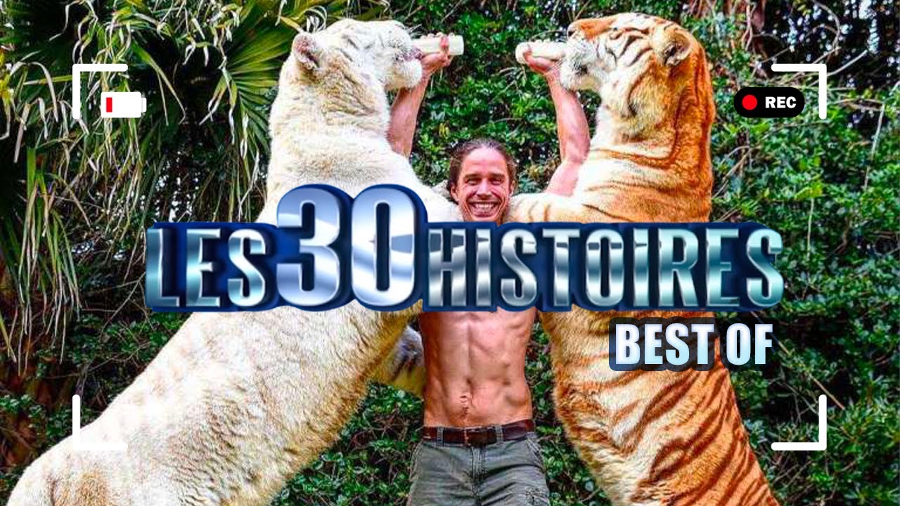 Le best of des 30 histoires les plus DINGUES du monde entier | HD | PBO012010