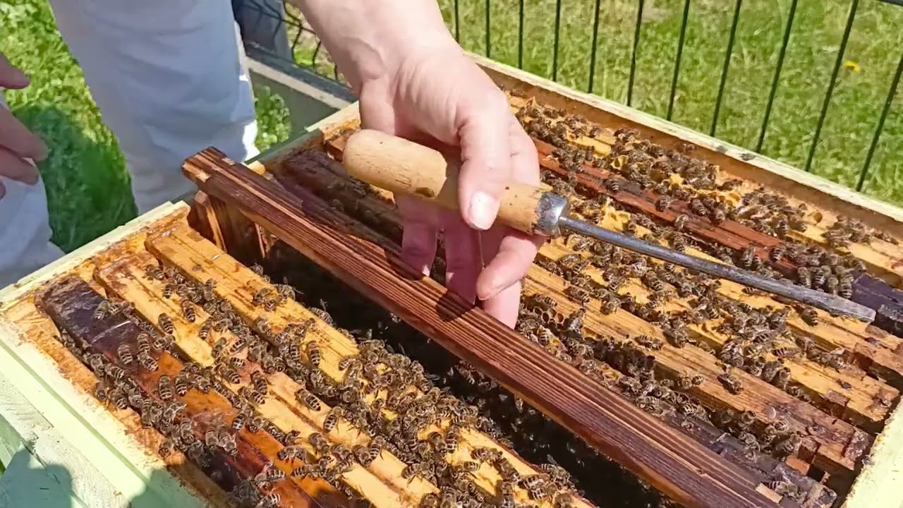 Teoretycznie o ramce pracy