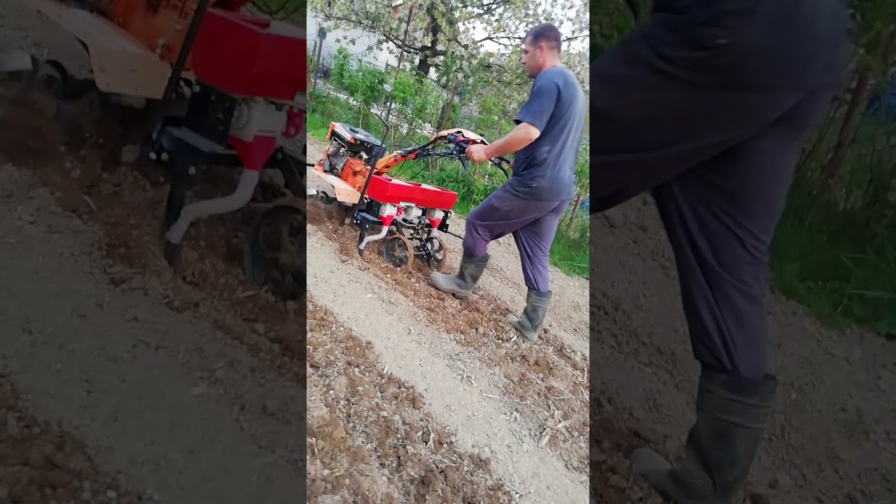 La semănat porumbul cu 751 ks