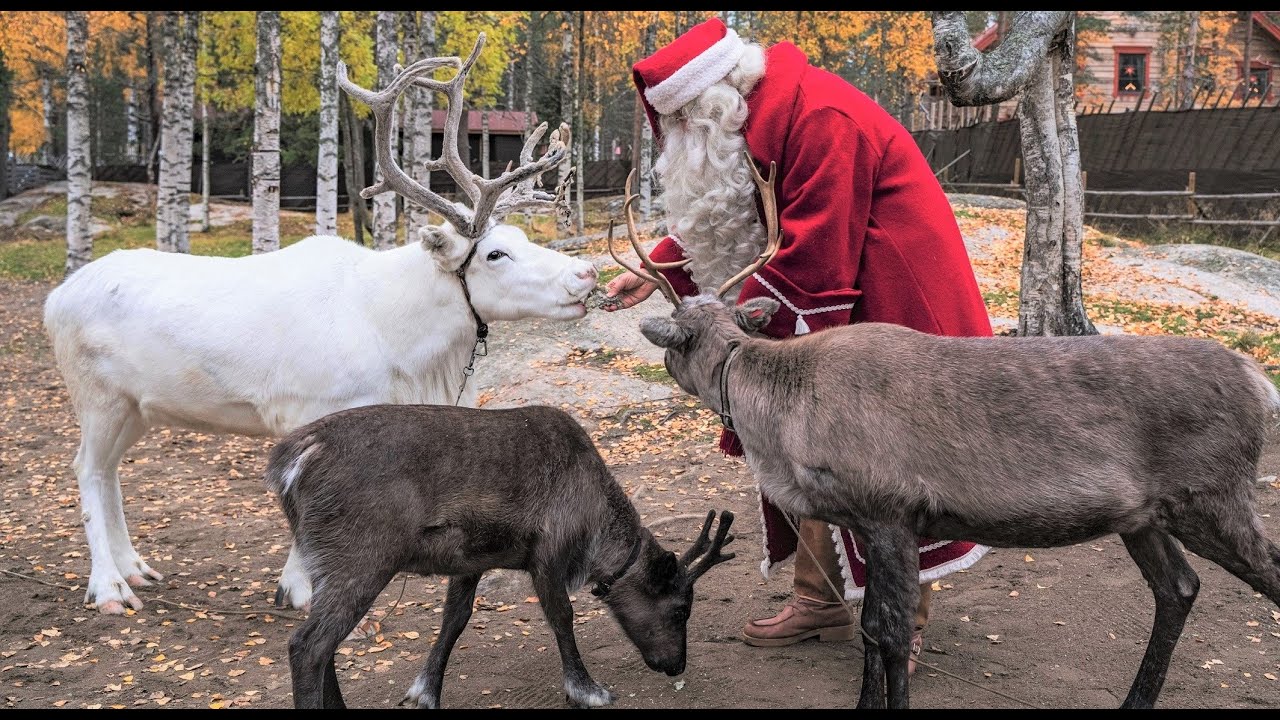 Осень Санта-Клауса в Рованиеми, Лапландия 🦌🎅 Осенние цвета Деревня Санта-Клауса Полярный круг