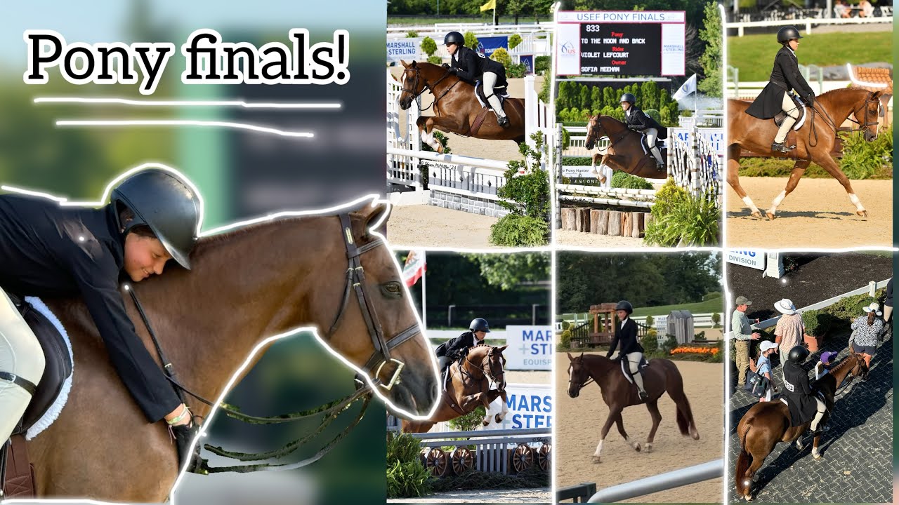 PONY FINALS 2024 VLOG