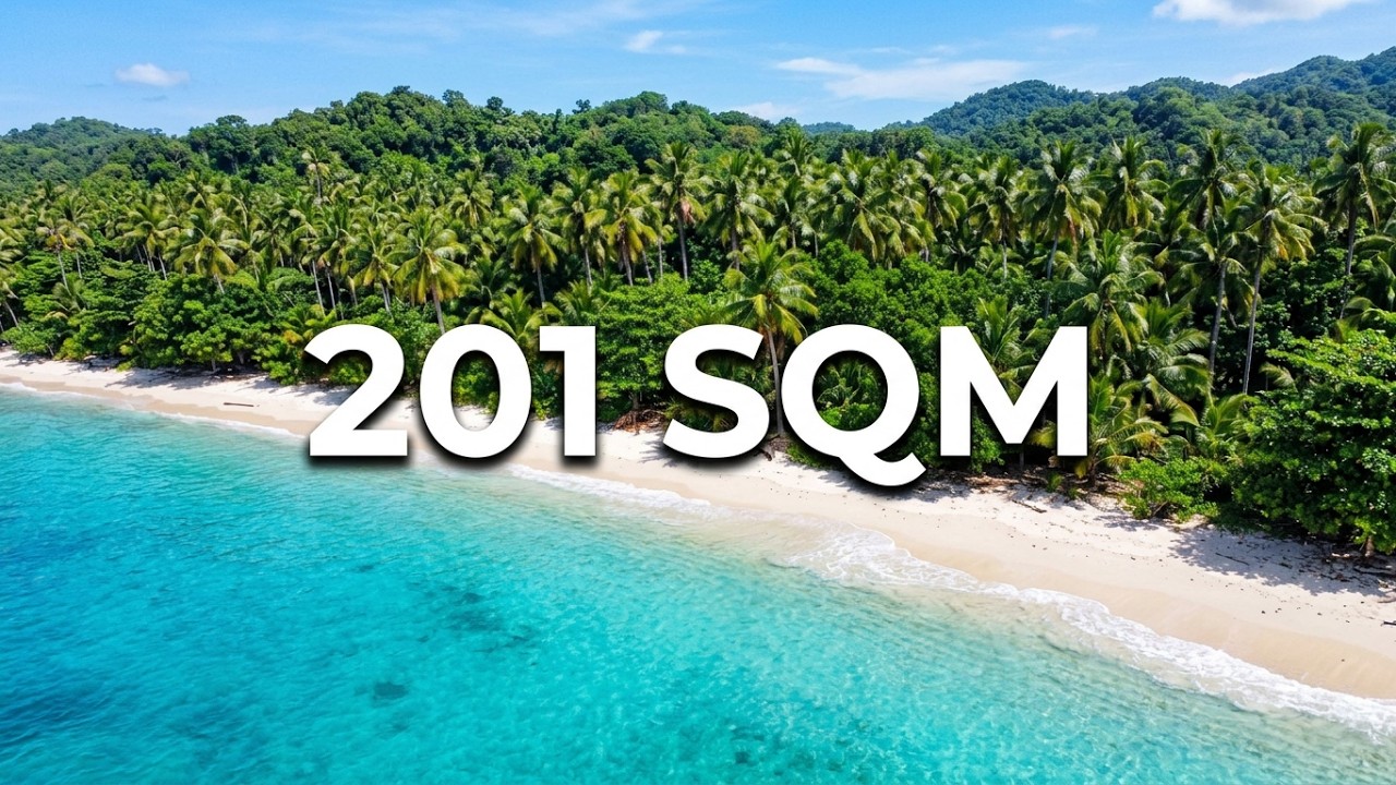 Palawan Beach Lot For Sale B1L33 201sqm
