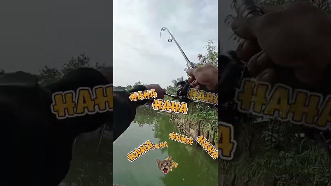 MANCING GURAME DI PMC MARWAN FISHING CLUB