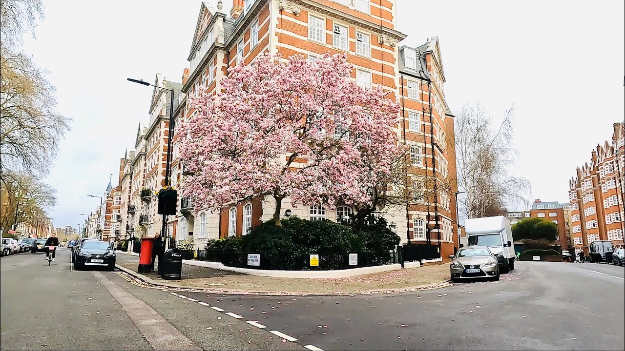 Spring Drive in London’s St John’s Wood | An affluent district of leafy residential streets March 23
