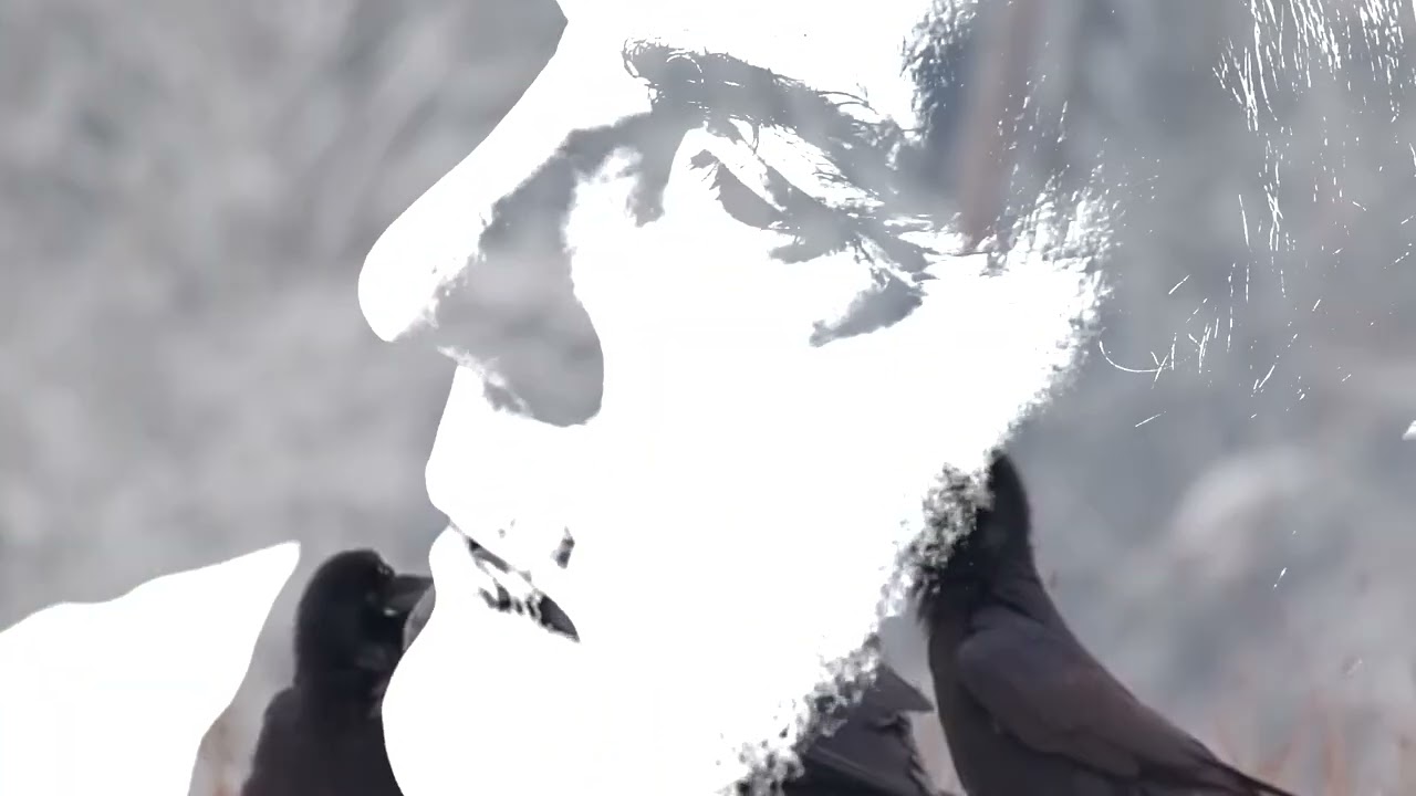 Sorry For Laughing - Ravens Flying - from Remember, You are An Actor (Klanggalerie, 2022)