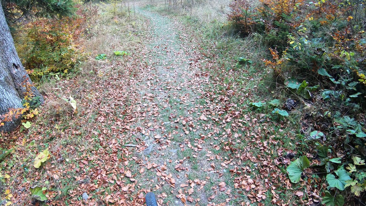 Easy Breezy Trail Sinaia