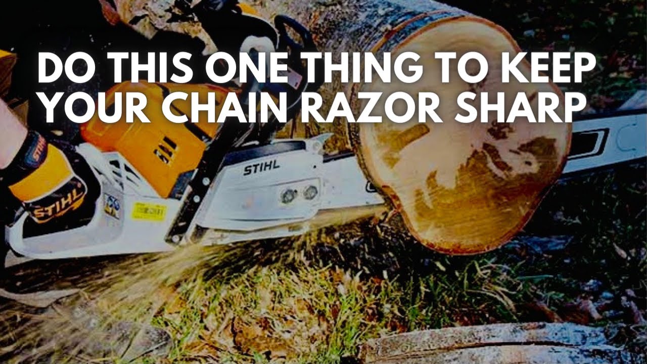 Easy Trick to Keep Your Chainsaw Sharp
