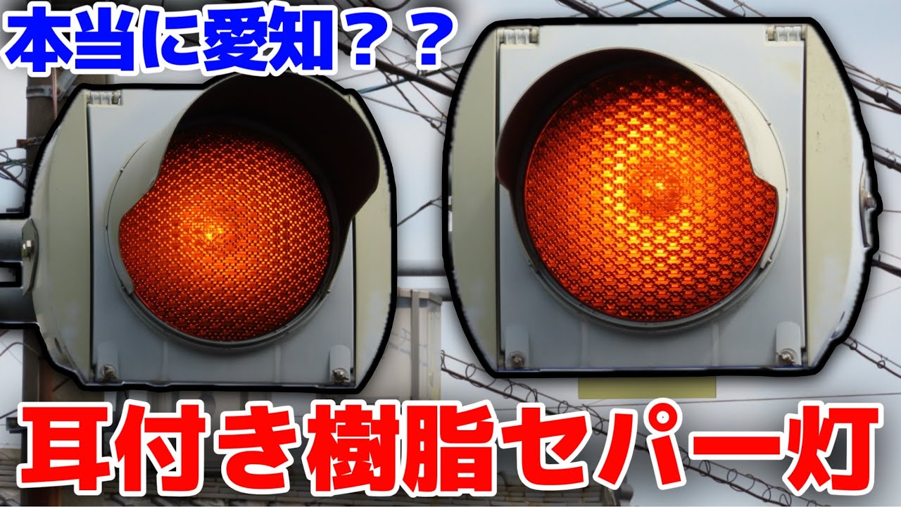 【特殊】愛知なのに一灯予告が！ 耳付き樹脂セパスフェリカルを撮影！！