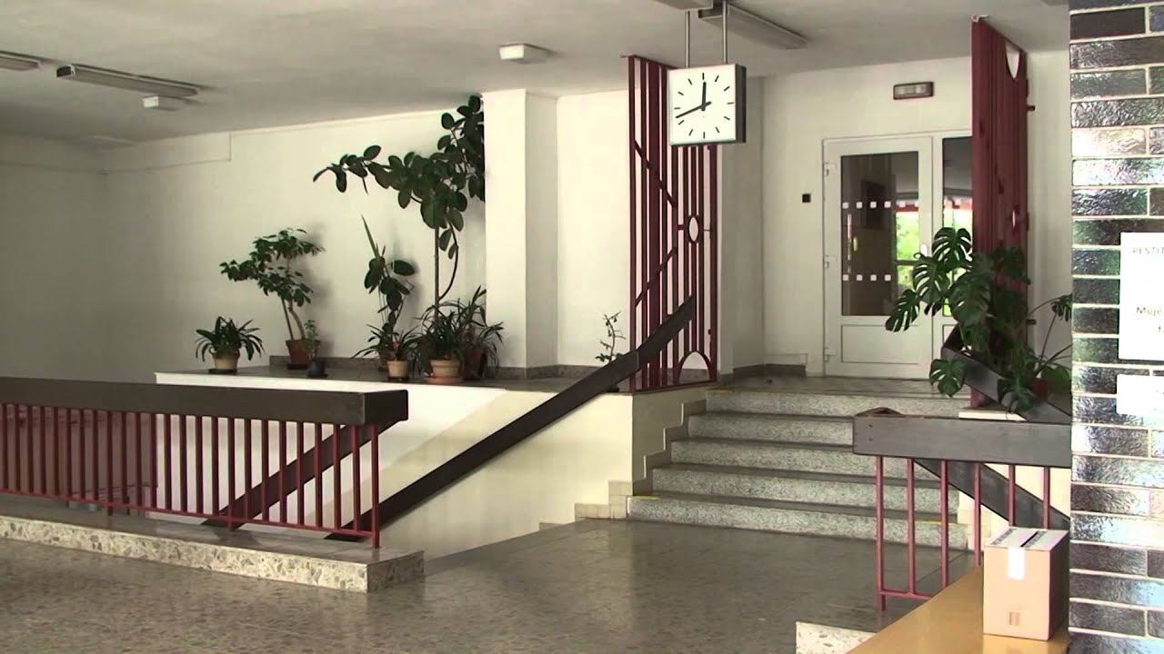 Oslavy ZŠ Poděbradova