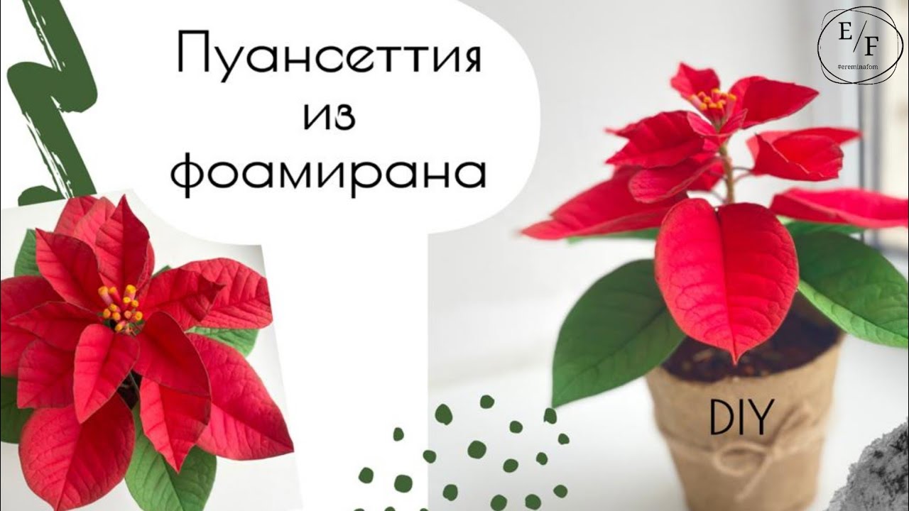 Пуансеттия своими руками /Рождественская звезда /DIY @ereminafom