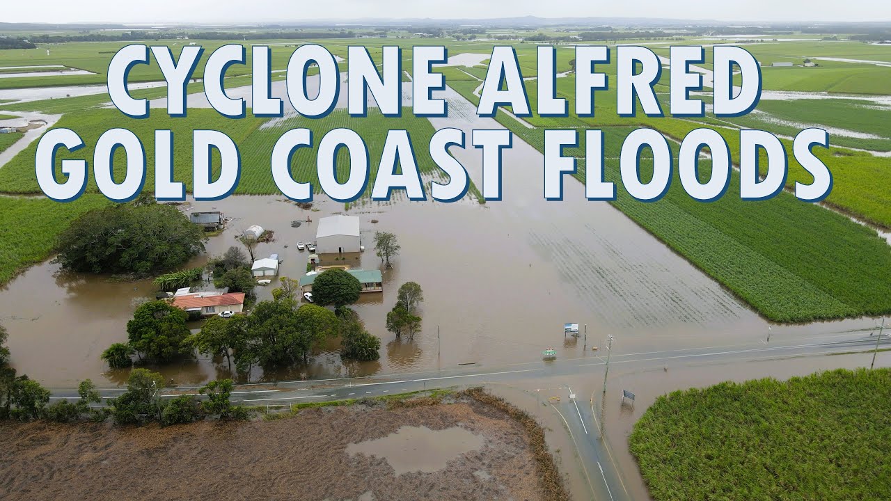 Gold Coast -  Cyclone Alfred Flood Aftermath 2025