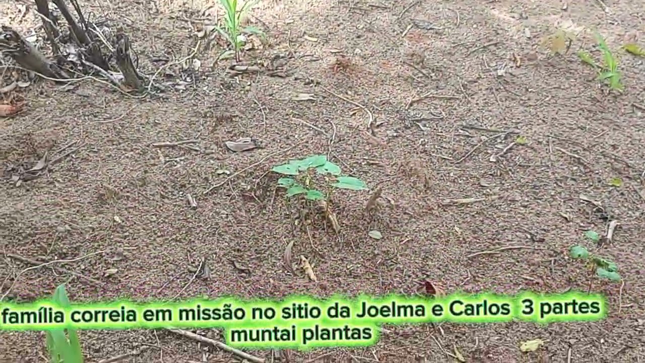 6 de fevereiro de 2026