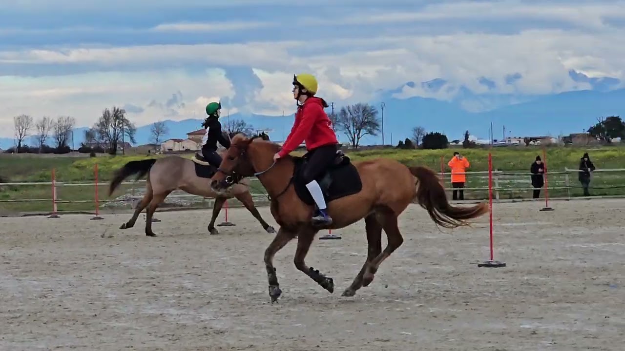Gold riders 1a sessione 31/1/2026. 2/2