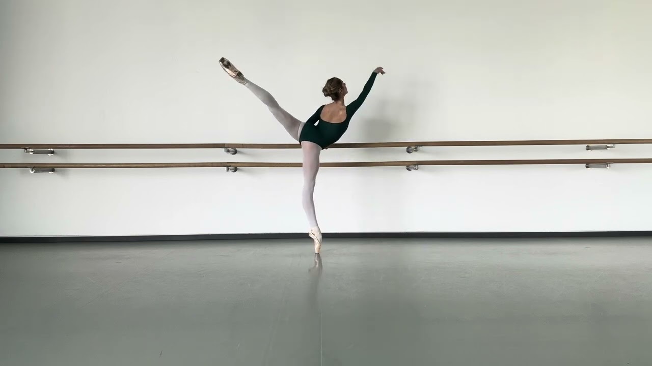 Audition semper oper