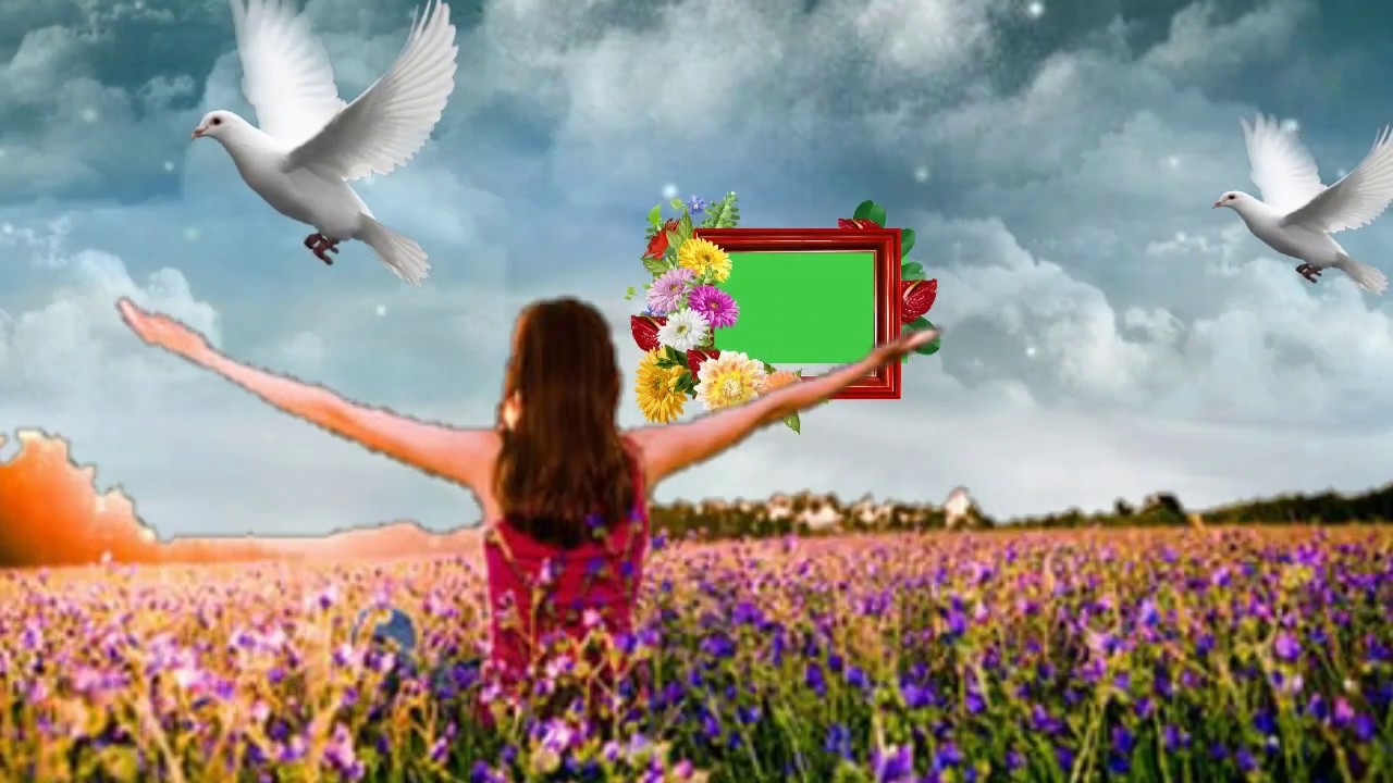 Wedding- green screen- effects- hd video || top10 effects- background  (2019)