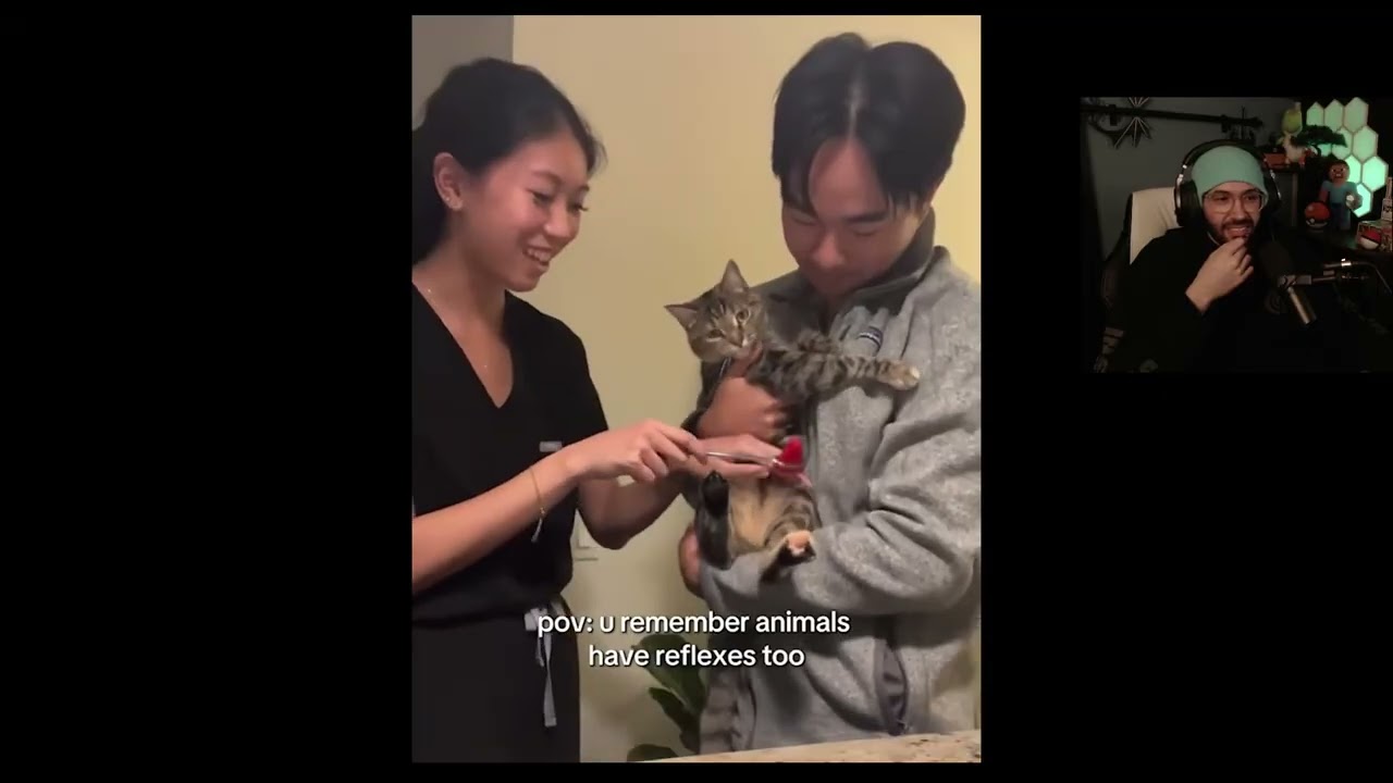 Totally not scared