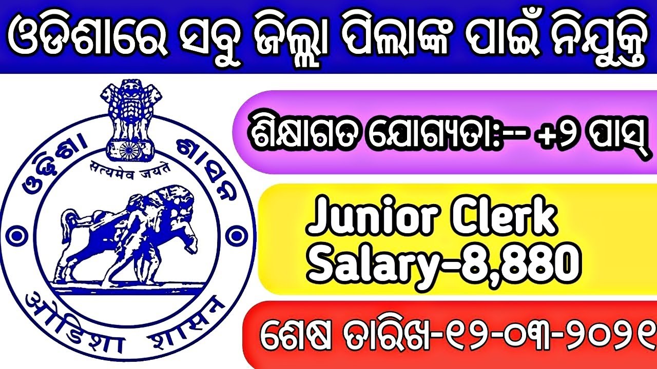 Junior Clerk cum Typist Vacancies in Odisha Notifications