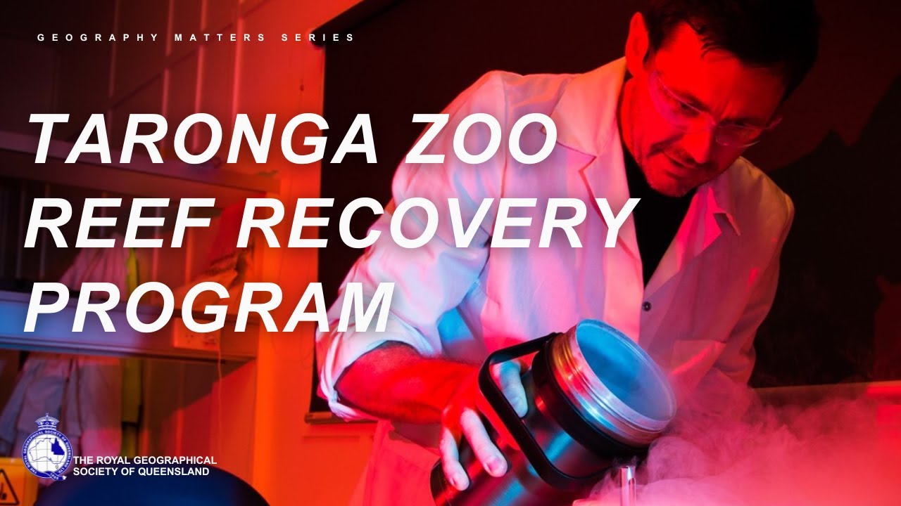 Reef Recovery at Taronga Zoo: How Cryopreservation Protects Coral