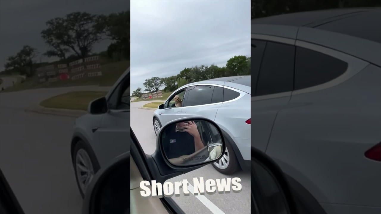 Driver Passes Dog Alone In Drivers Seat Of Tesla