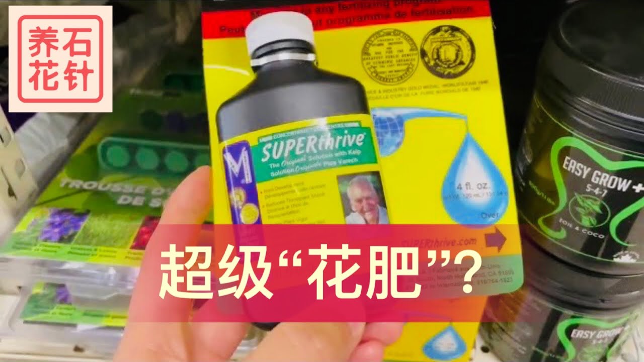 颇具争议的万能的超级&ldquo;花肥&rdquo; - superthrive - 说说我的想法（此视频纯属娱乐。只要不是攻击，欢迎各种观点留言）