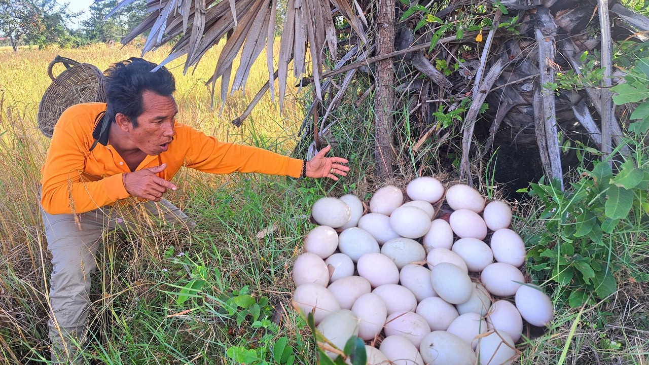 OMG HAND UNIQUE!  Pick a lot of duck eggs near the mouth of a man.