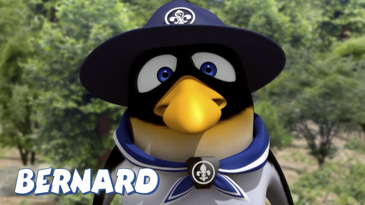 Bernard Bear | Boy Scout AND MORE | 30 min Compilation | Cartoons for Children