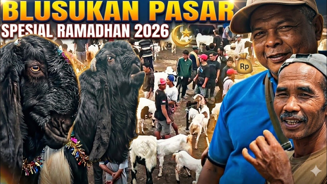 BLUSUKAN PASAR KALIGESING...!!! PANTAU HARGA LANGSUNG KAMBING PE JELANG RAMADHAN