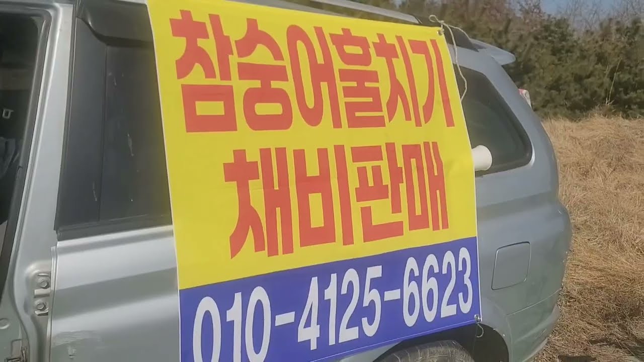 #영종도숭어훌치기 3/14 15일 #조위낮아 #갯골만가능 #초원투장비만 가능합니다