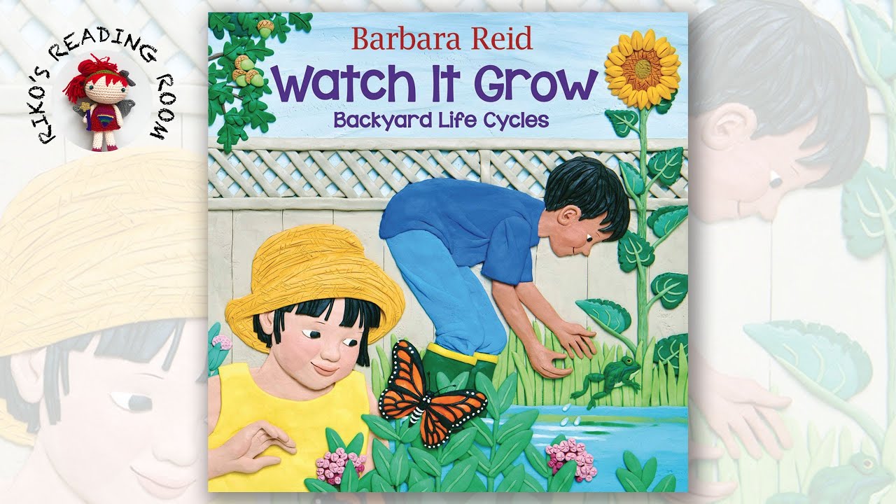 🌻 Watch It Grow: Backyard Life Cycles