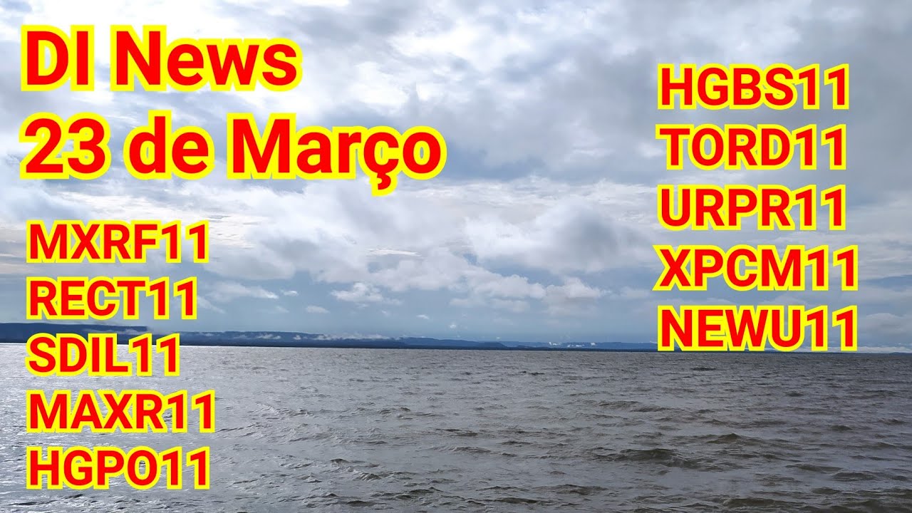 DI News. 23 de Mar&ccedil;o. MXRF11 RECT11 SDIL11 HGBS11 MAXR11 NEWU11 XPCM11 TORD11 URPR11 HGPO11 SNFF11