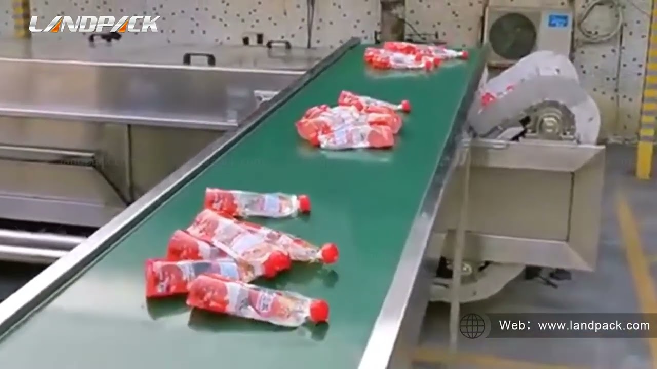 Automatic Spout Pouch Filling and Capping Machine with Pasteurization Equipment