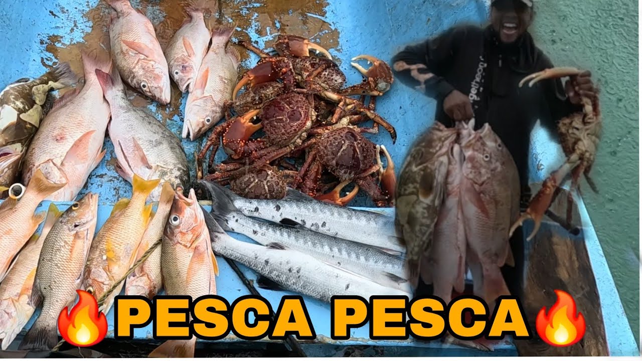 LA MEJOR PESCA DE CENTOLLAS REAL  PARGO MERO Y BARRACUDA