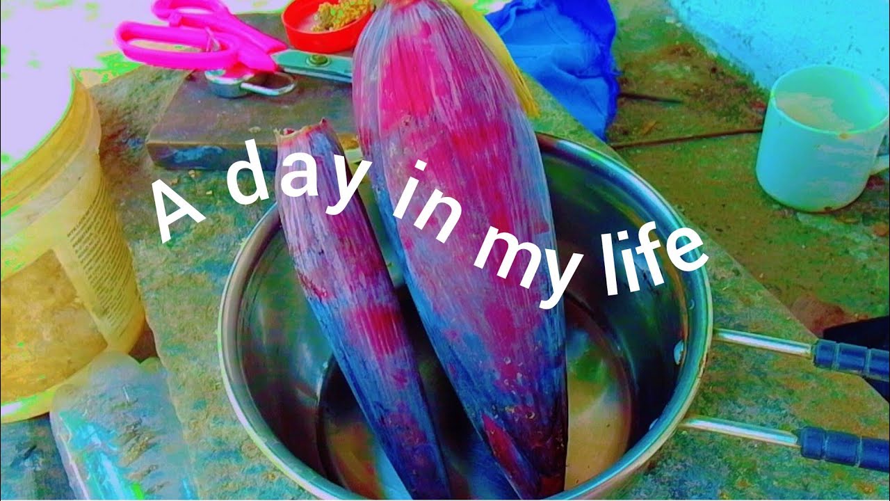 Morning routine in my life || വീട് ഒന്നു ക്ലീൻ ചെയ്തു ഇന്ന് 