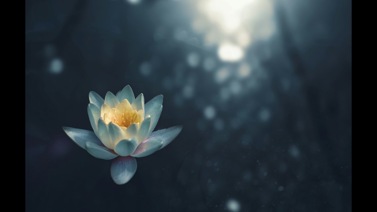 10 Minute Reiki Cleanse | Clear Stagnant Energy & Restore Balance