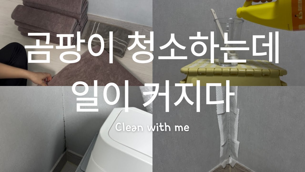 청소 vlog l 곰팡이 청소하는데 일이 커지다