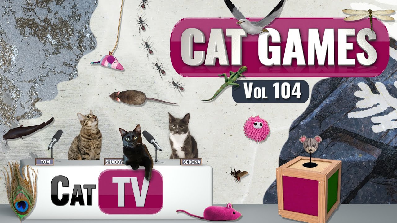 CAT Games | Ultimate Cat TV Compilation Vol 104 | 6 ЧАСОВ 🐝🐞🦋🦎🦜🐜🐭🧵