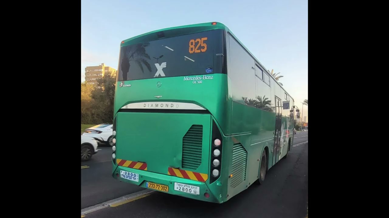 אוטובוסים שונים במקומות שונים 15