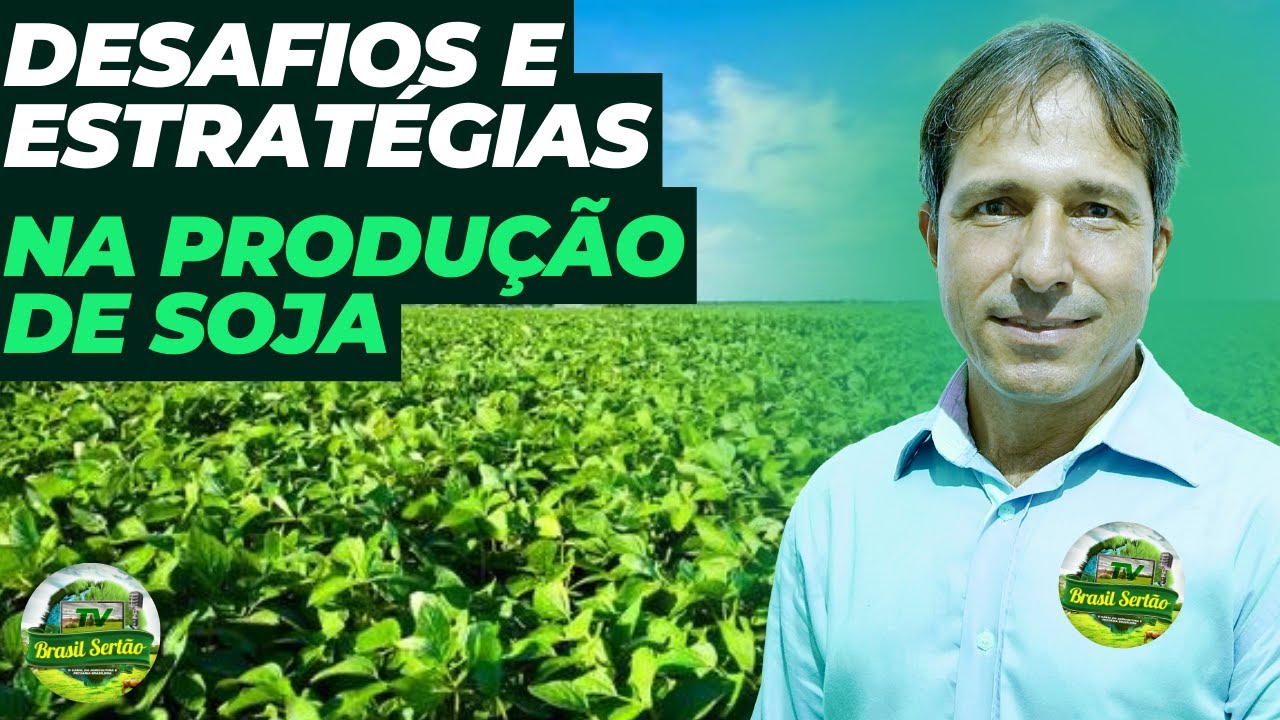DESAFIOS E ESTRATÉGIAS NA PRODUÇÃO DE SOJA