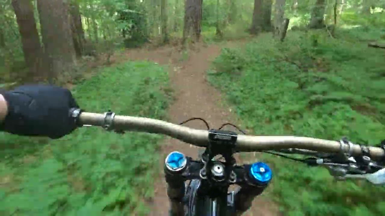 Perth: Squirrel Run - Mountain Bike Trails & Mountain Biking Scotland