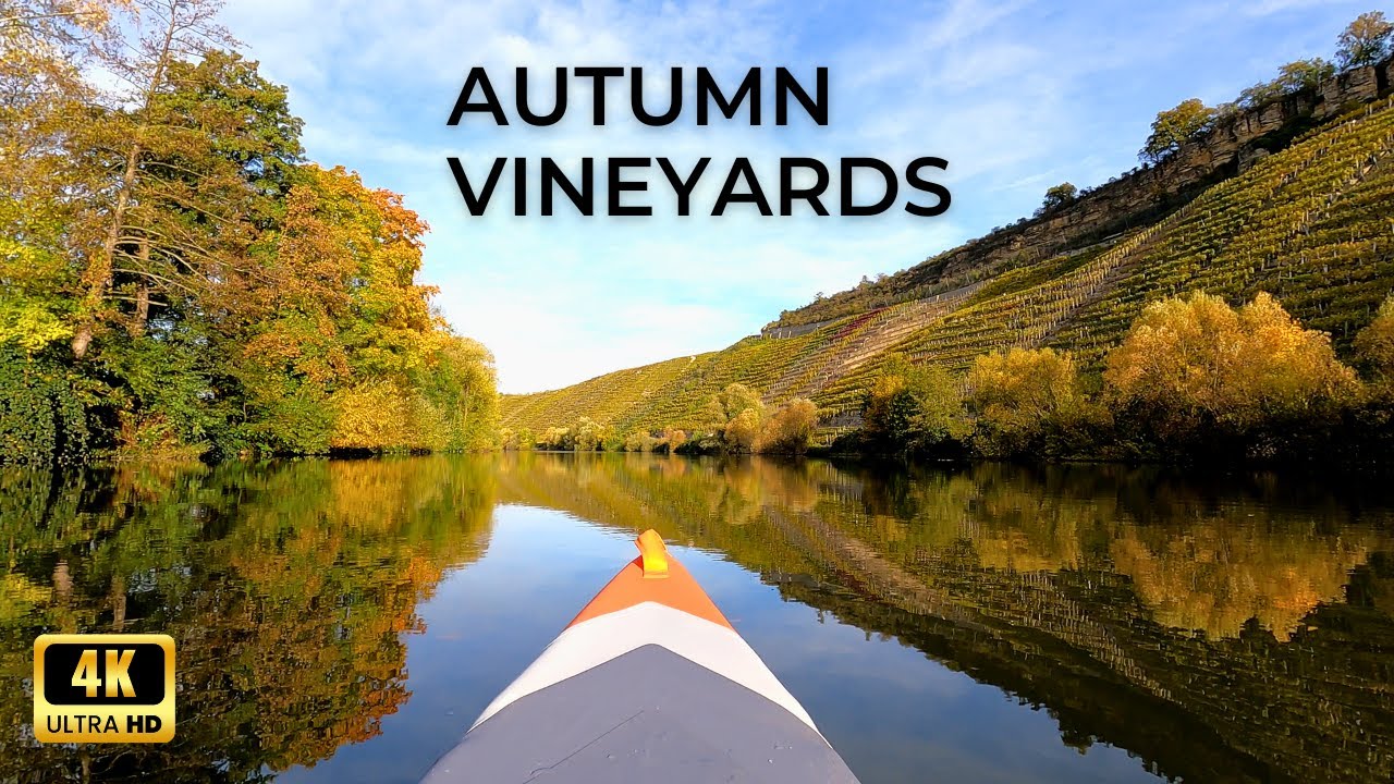4K River Paddle: Up Close with Autumn Vines & Passing Ships