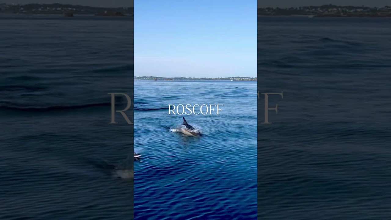 ROSCOFF 🗺️ - Explore this Charming Coastal Town #roscoff