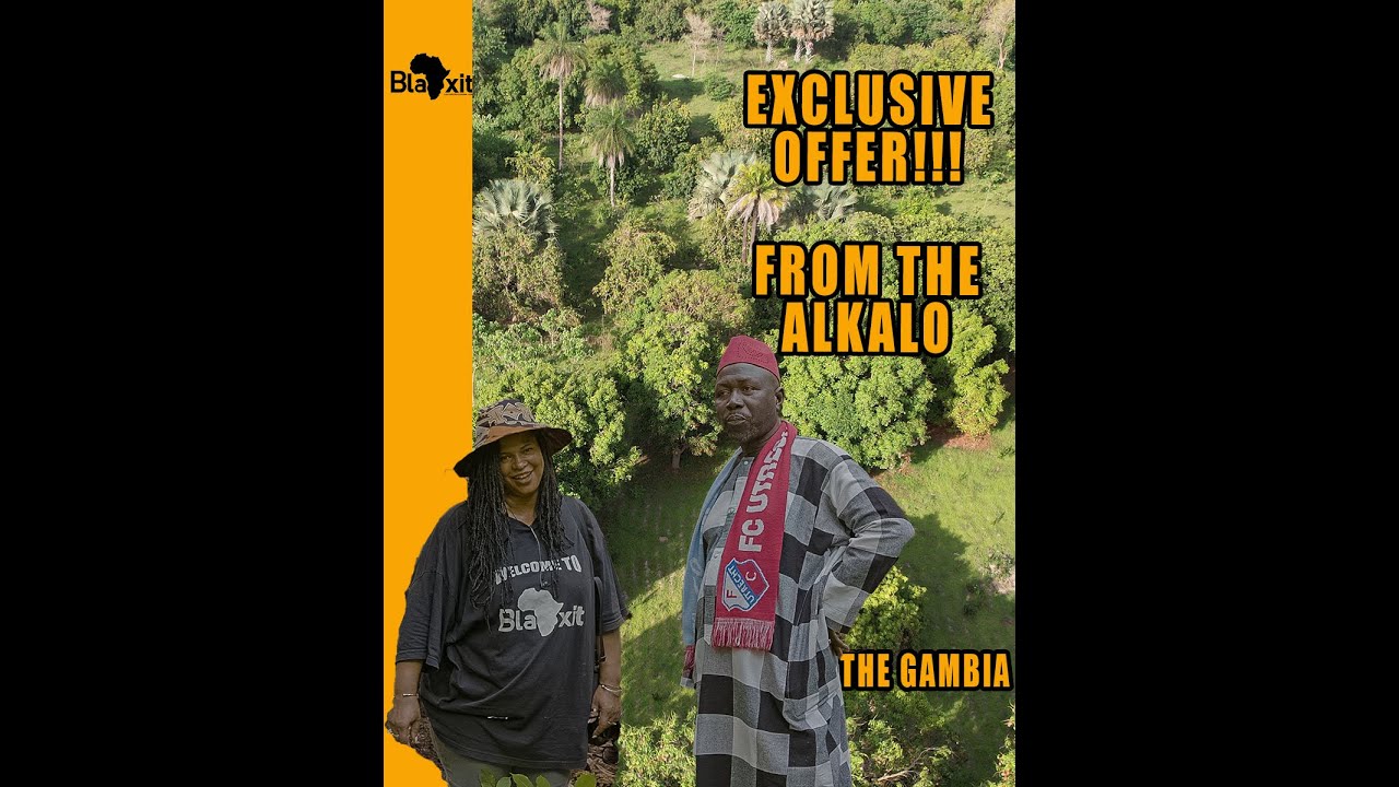 BlaXit Developing Africa 🥭 🥭 MANGO FARM - 🇬🇲 GAMBIA