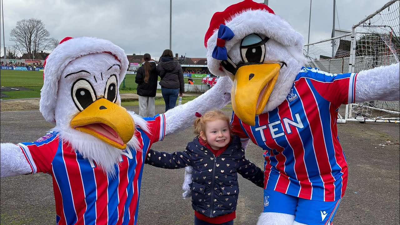 Crystal Palace Women 0-2 Arsenal Women