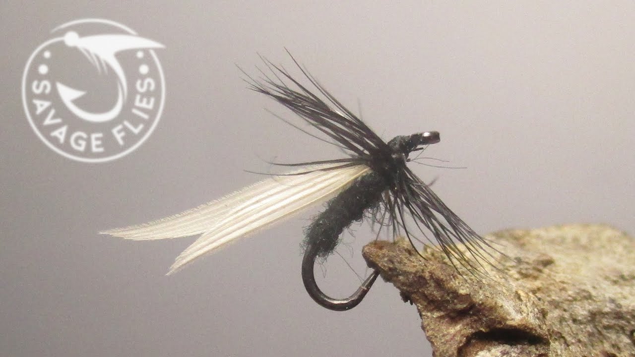 Tying the original Black Gnat (circa 1885)
