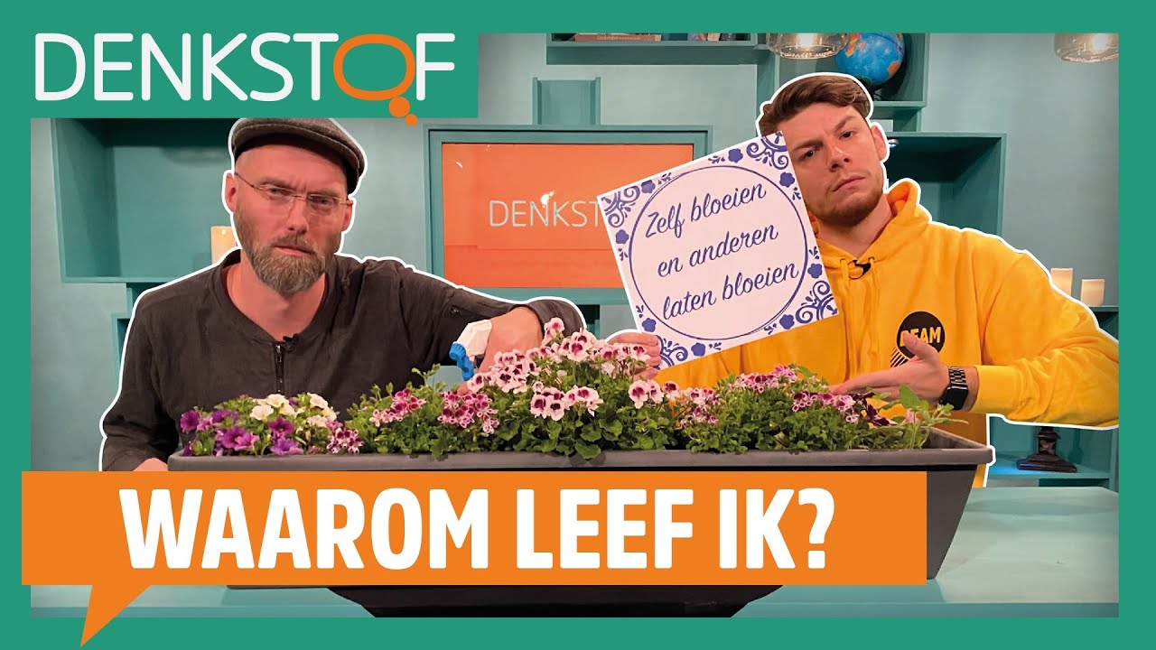 Wat is Gods plan met mijn leven? - Denkstof #2