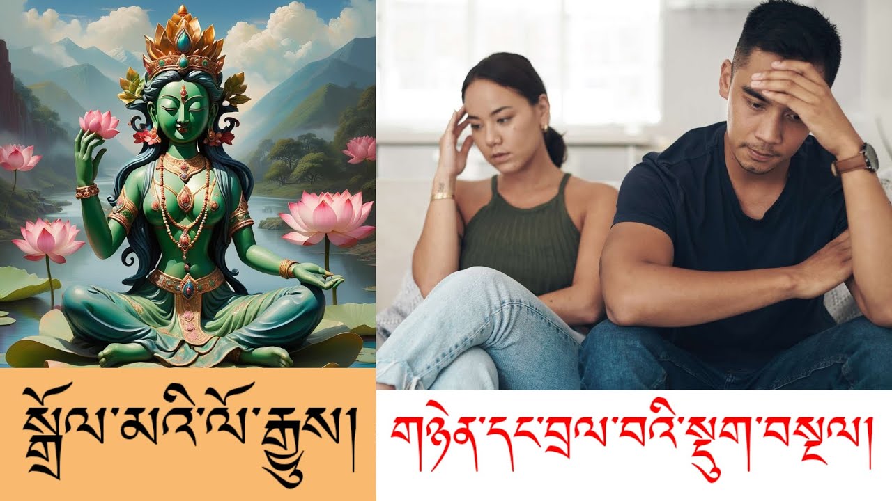 གོ་མྱོང་ཐོས་མྱོང་མེད་པའི་སྒྲོལ་མའི་ལོ་རྒྱུས།