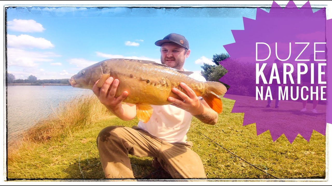 Duże karpie na muchę z jeziora. Muchy i sprzęt. Carp fly fishing.