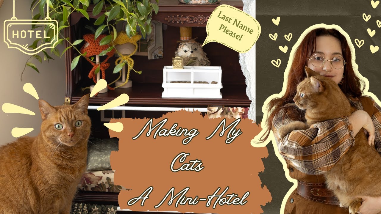 Making My Cats a Mini-Hotel! Thrift-flip | Upcycling a $20 bookcase! | Chatty Crafting Vlog |
