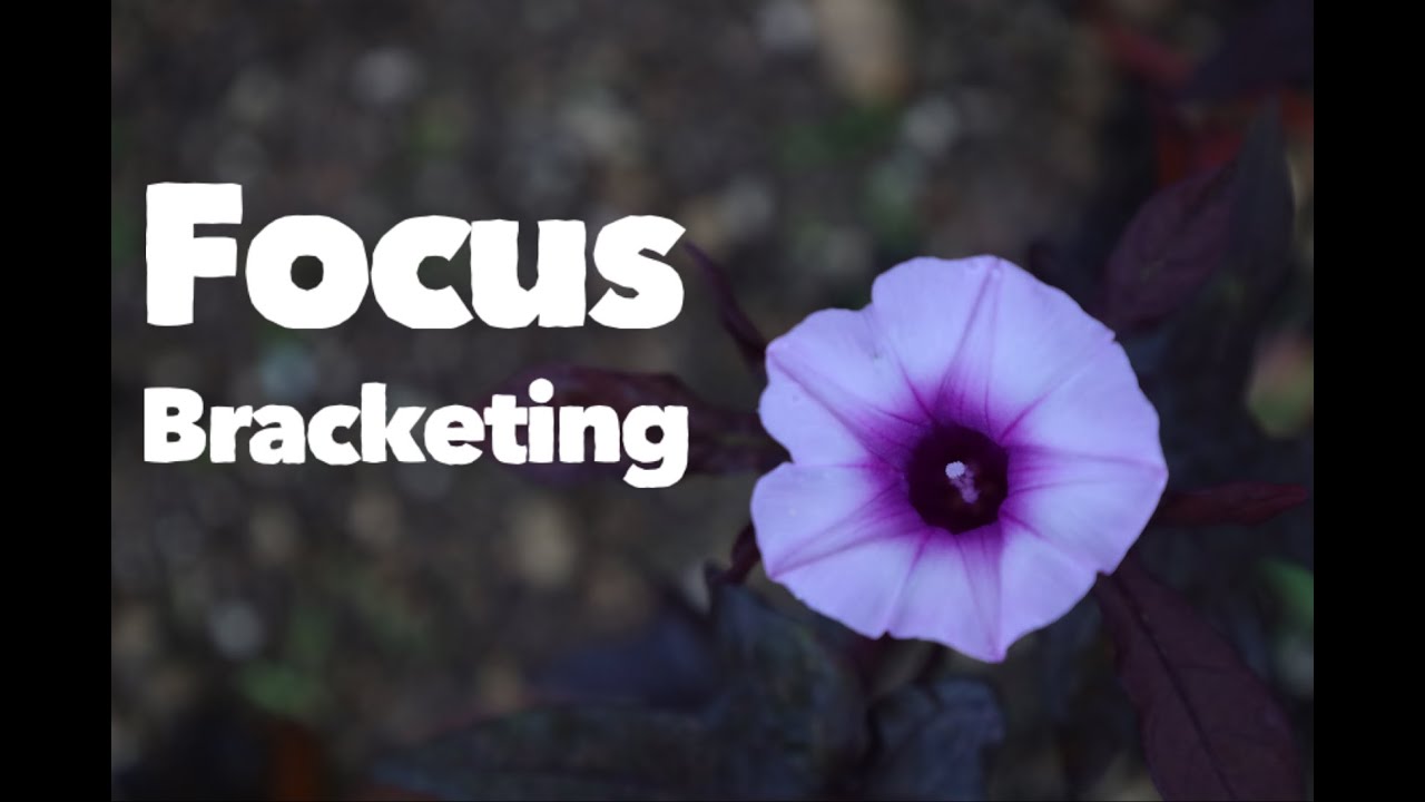 &iquest;C&oacute;mo funciona el Focus Bracketing?
